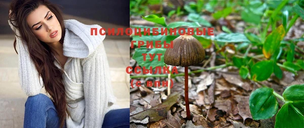 скорость Козловка