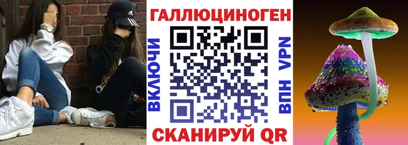 Купить где  Моздок  Псилоцибиновые грибы Psilocybe 