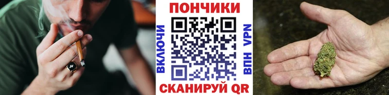 Конопля VHQ  Купить где  Моздок 